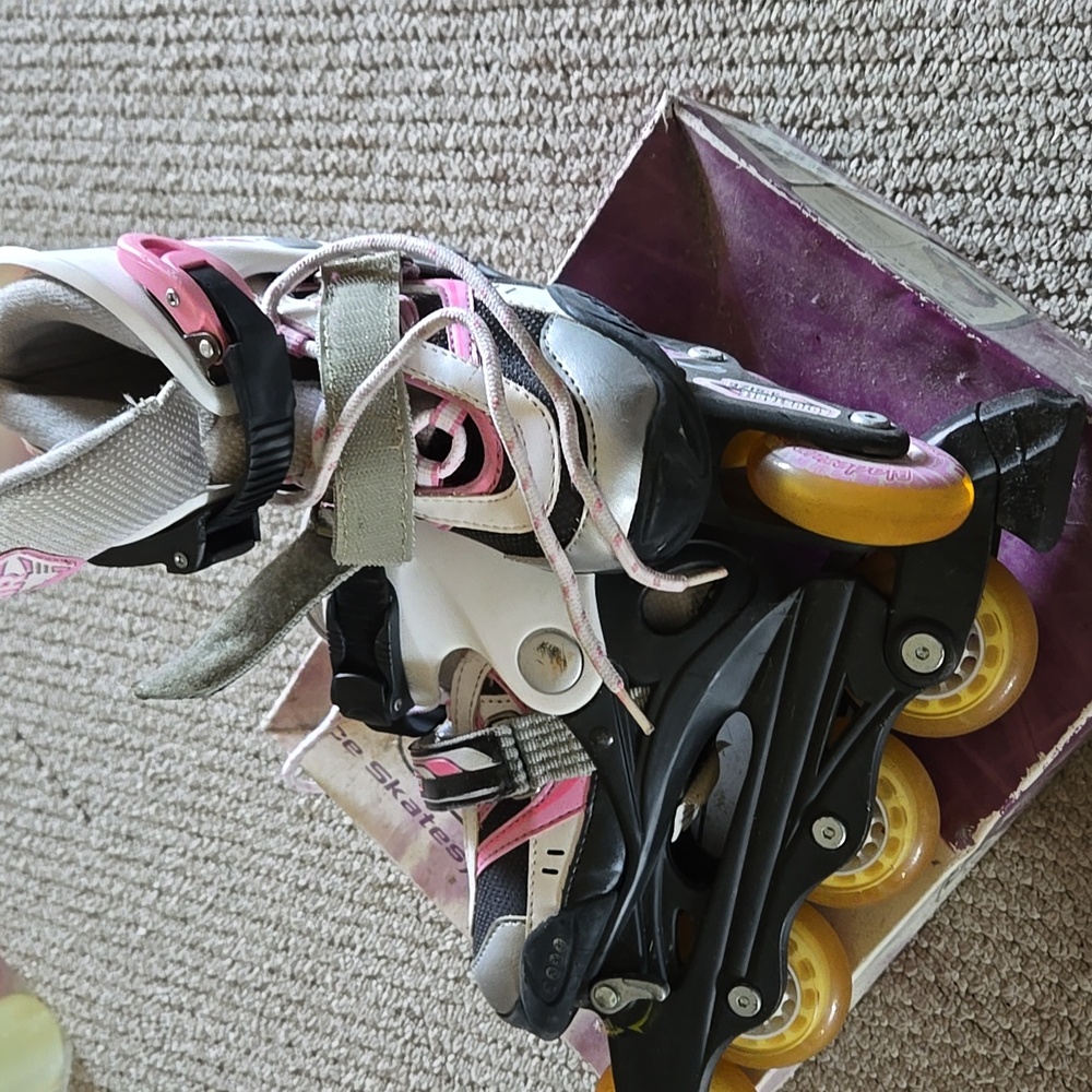 Bladerrunner - Picture 2 of 3
